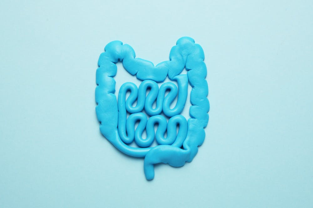 Playdough gut against a blue background - probiotics after antibiotics. 