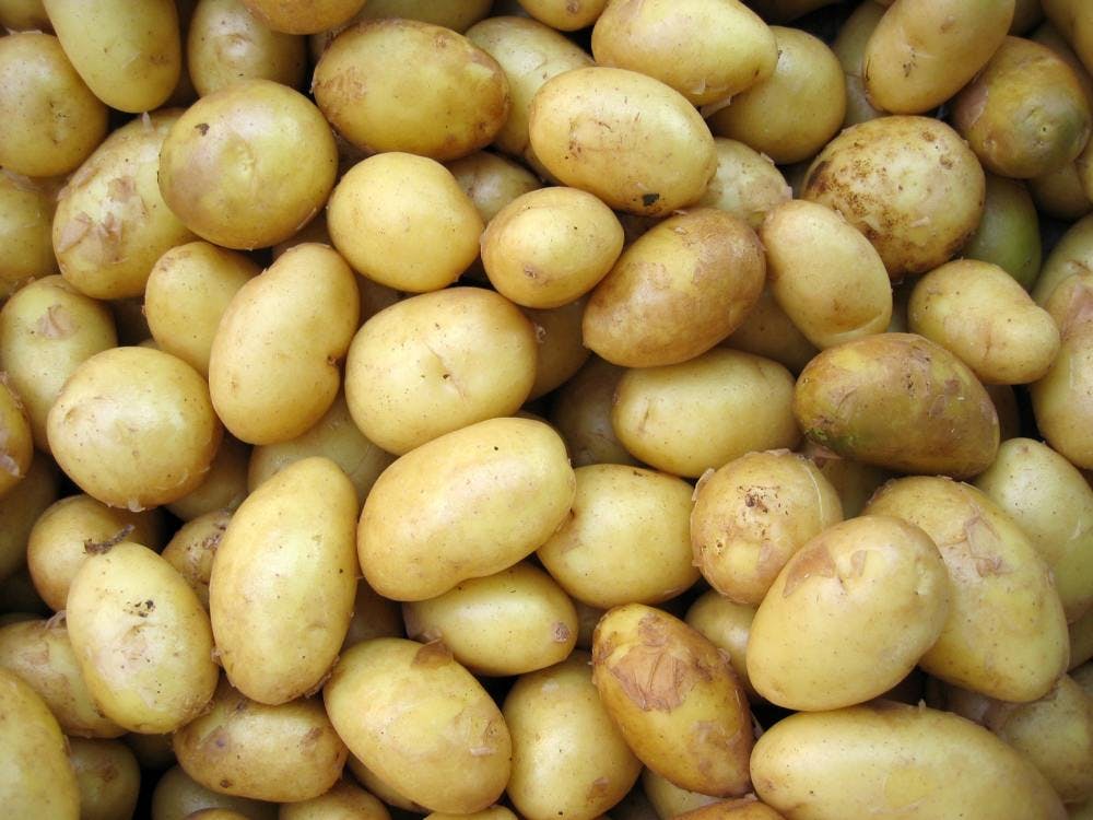 Pile of potatoes