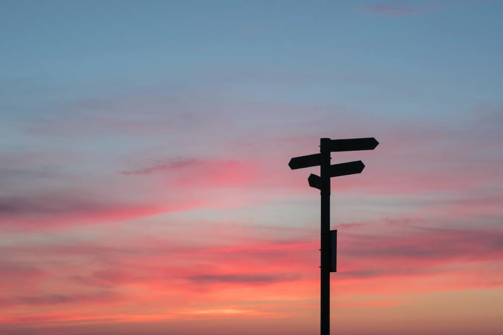 Black sign posts in the morning sky